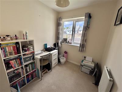 Picture 15